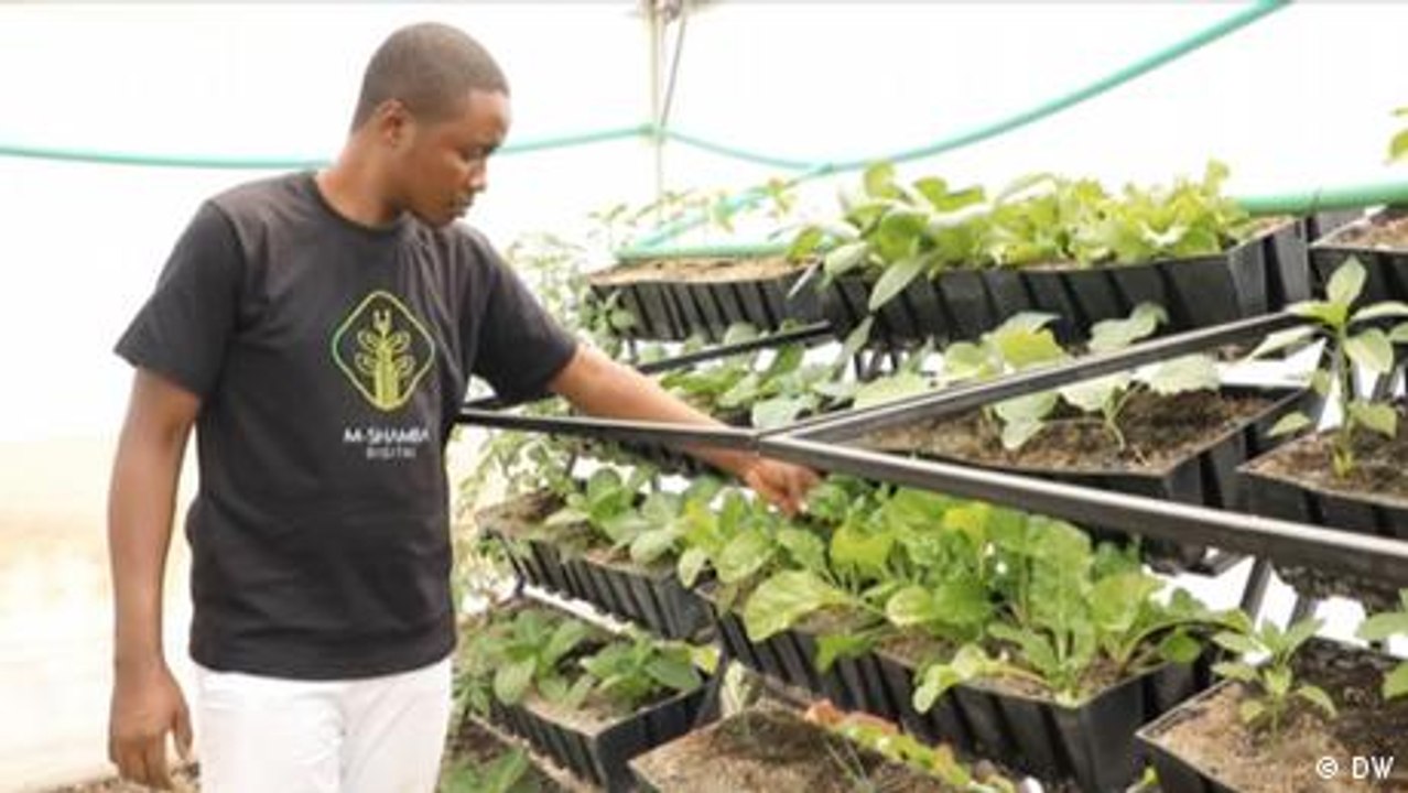 Kenya: Agritech solutions