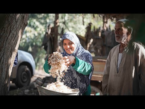 يا ورد مين يشتريك؟ .. كورونا تمنع تصدير الياسمين