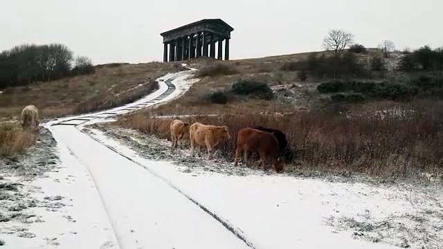 Snow at Penshaw Monument on January 6