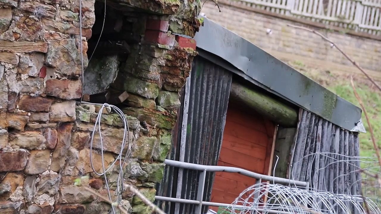 Mill House Animal Sanctuary video Dailymotion