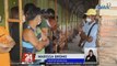 Mga senior citizen na wala pa maski isang dose ng bakuna kontra COVID, layon maturukan ngayong 'Senior Citizens Vaccination Day' | 24 Oras