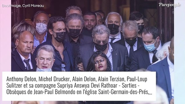 Alain Delon encore plus renfermé depuis la mort de Bebel... Brigitte Bardot donne des nouvelles