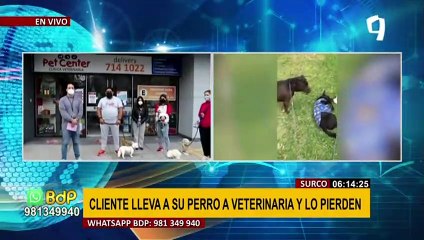 Surco: hombre denuncia que veterinaria perdió a su perro tras solicitar servicio de baño