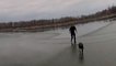 Police rescue dog rescued from frozen lake