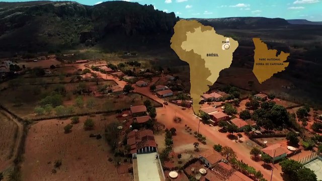 Mémoires de pierre : Brésil, les premières couleurs de l’...