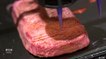 Meat substitute - Vegan steak from a 3D printer