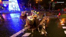 Ein winterliches Fest für die Sinne: Dreikönigsparade durch Madrid