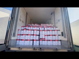 قافلة تحيا مصر تصل المنصورة ..  ومحافظ الدقهلية : توزيعها للأكثر احتياجا