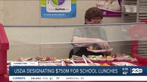 The USDA is designating $750 million for school lunches