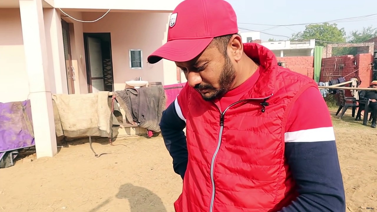 India's Best rottweiler farm