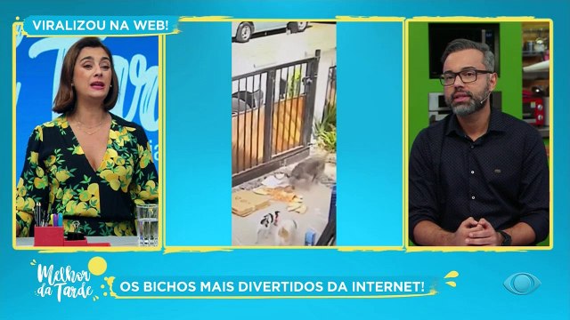 Animais inteligentes e crianças espertas, uma combinação perfeita. Confira!