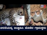 Villagers Beat Up Stranded Leopard In Chitradurga | TV5 Kannada