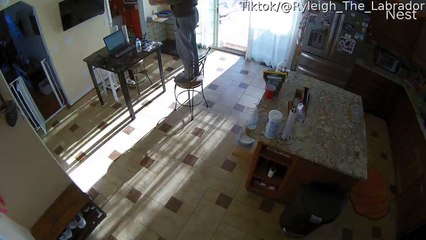 Dad Surprised by Cheeky Barstool