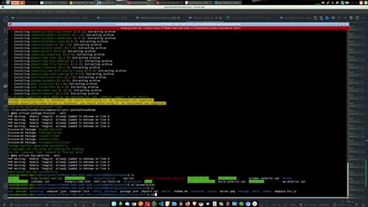 Laravel Role