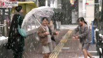 شاهد: عاصفة ثلجية تضرب طوكيو وتكسو الشوارع باللون الأبيض