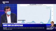 Covid-19: le pic de l'épidémie est attendu 