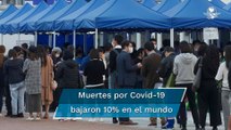Muertes por Covid siguen bajando pese al 