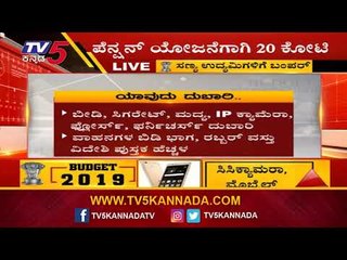 ಯಾವ ವಸ್ತುಗಳ ಬೆಲೆ ದುಬಾರಿಯಾಗಿದೆ..? | Union Budget 2019 | TV5 Kannada