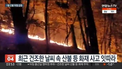 심상찮은 1월 산불…기후변화에 발생 위험 급증