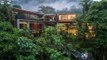 6 Gorgeous Rain Forest Hotels — From Glamping Retreats to Tree House Stays