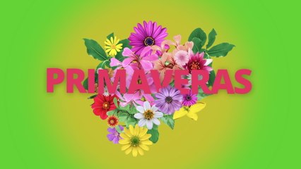 Campeche Show - Quince Primaveras
