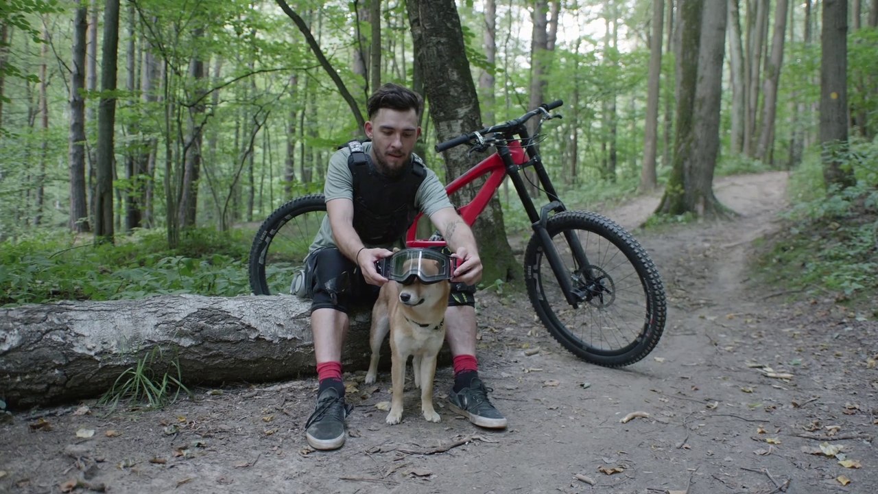 GECELER STOP COPYING IF I INTERRUPT