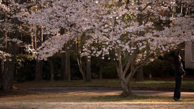 Rectify Saison 3 - Trailer Memory (EN)