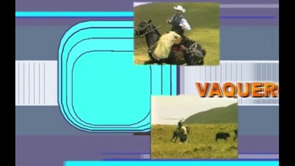 DELFIN QUISHPE VAQUEROS