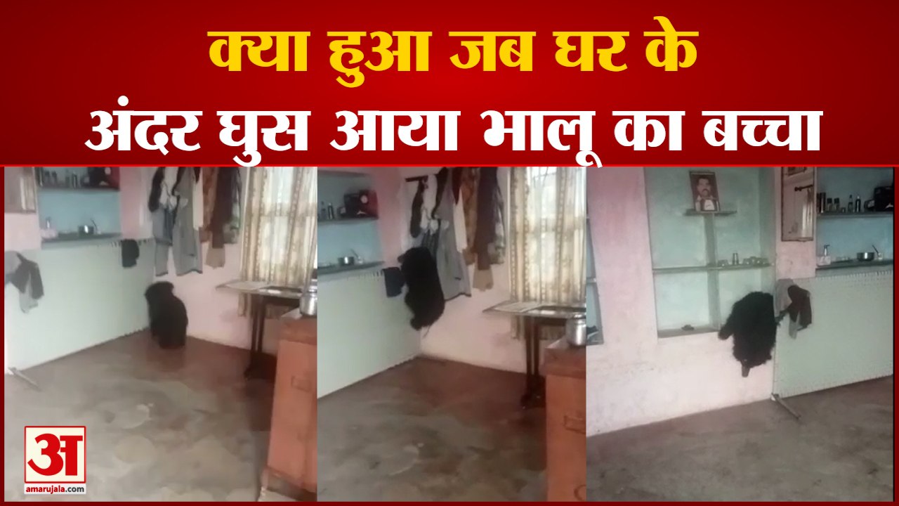 कमरे में छिपा हुआ था भालू का बच्चा,वन विभाग ने ऐसे किया गया रेस्क्यू |Bear Rescue Operation In Kota