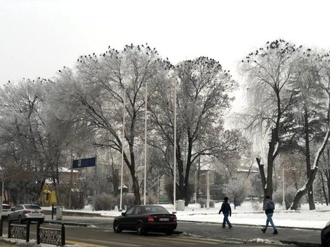 Erzincan son 40 yılın en soğuk günlerini yaşıyor