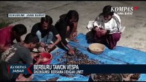 Mencari Tawon Vespa Bertaruh Nyawa