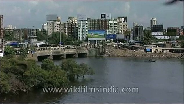 Top view aerial shot of Mumbai city