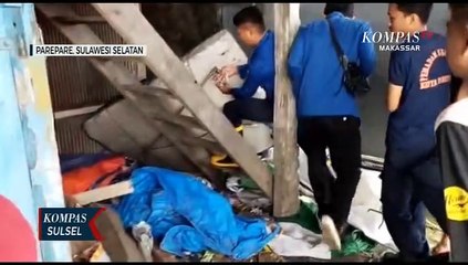 Petugas Damkar Tangkap Biawak Yang Masuk Rumah Warga