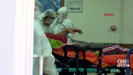 Domuz gribi ve diğer enfeksiyonlarda artış yaşandı