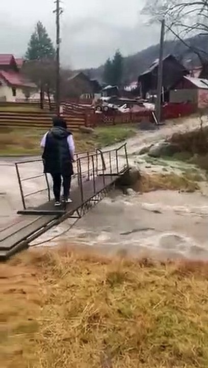 Audi vs. rio