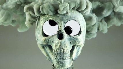 SKULL  颅骨  череп