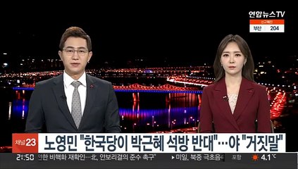 노영민 "한국당이 박근혜 석방 반대"…야 "거짓말"