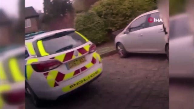 İngiliz aile 8 yıl önce evlerinin bahçesinden çalınan köpeklerine kavuştu