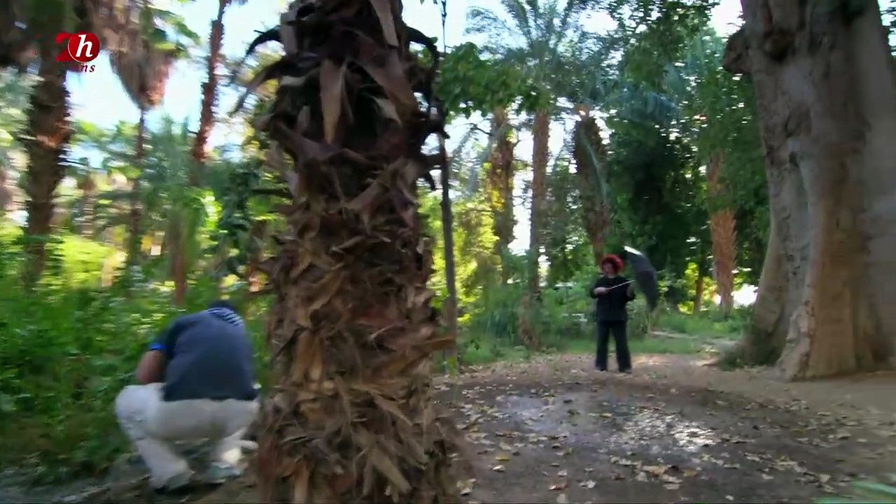 Immortal Egypt_Les bâtisseurs de pyramides  episode 01