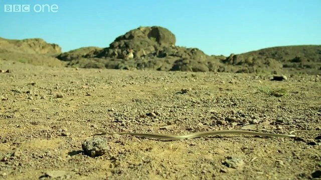 Atlantis (2013) Saison 2 - Trailer (EN)