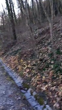 Fort de La Bastille Grenoble 2022 #France (9)