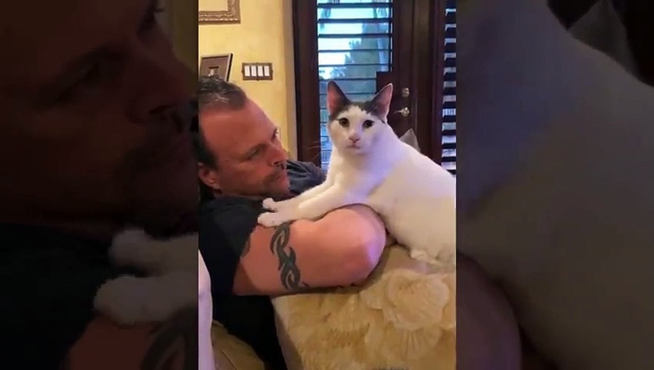 Buat harimu menyenangkan dengan hewan-hewan lucu dan imut ini _ Video kucing lucu(480P)