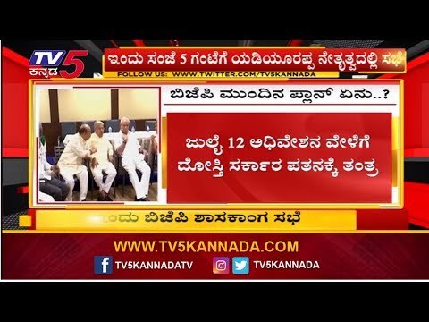 ಬಿಜೆಪಿ ಮುಂದಿನ ಪ್ಲಾನ್ ಏನು..? | Karnataka BJP Meeting | BSY | TV5 Kannada