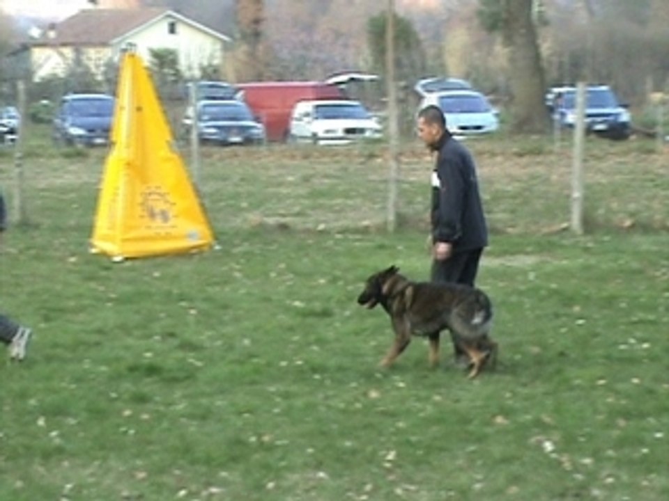 Piero attacchi