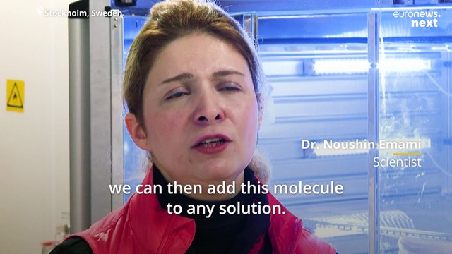 Swedish scientists have developed synthetic ‘blood’ to attract and kill malaria-carrying mosquitoes