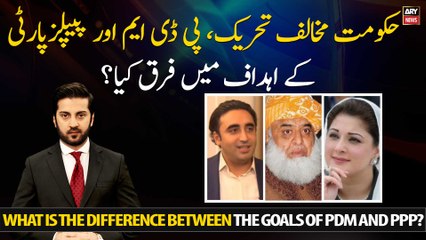 PDM vs. PPP: Understanding Their Key Goals 🔍