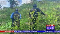 Operación Cazador localiza supuesta plantación de arbustos de coca y un laboratorio rústico utilizado para la extracción de droga