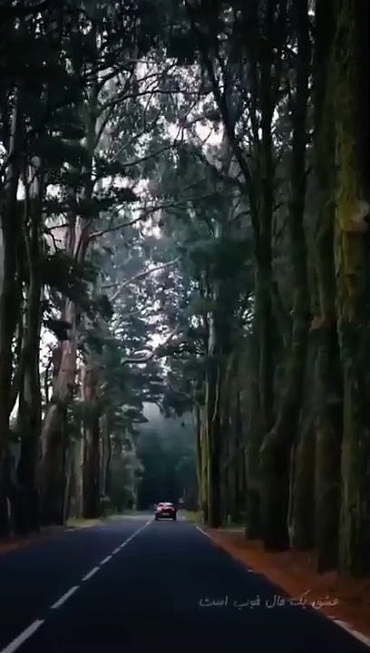 #عاشقانه #استوری #عشق