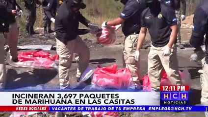 ¡Incineran 3,600 paquetes de marihuana decomisada en diversas operaciones!