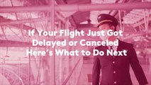 If Your Flight Just Got Delayed or Canceled, Here's What to Do Next